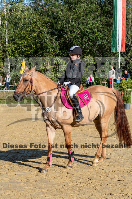 RFV Dinslaken-Hiesfeld (Herbstturnier)