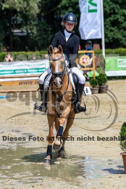 Goldene Schärpe 2021 - Ponys