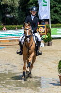 Goldene Schärpe 2021 - Ponys
