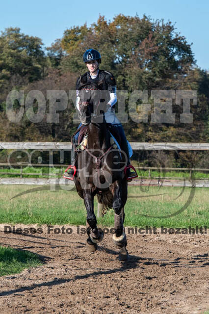 Vielseitigkeitslehrgang mit Jürg Kurbel (9.+10.11.2019)