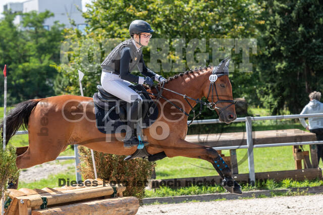 Late-Entry-Vielseitigkeit Langenfeld (06.+07.07.2020)