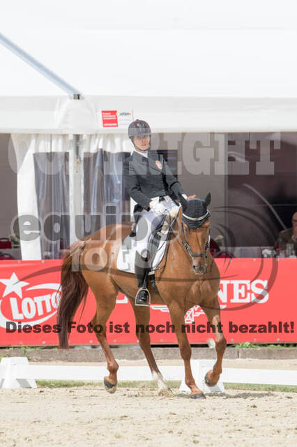 FEI European Championship Eventing 2017