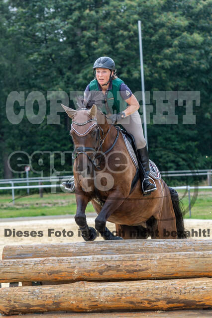 Hunter Geländetraining 10.07.2021 (Sonsbeck)