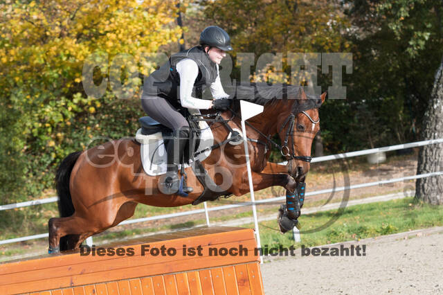 IGV Lehrgang der Sieger der Cups mit Frank Ostholt