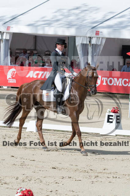 FEI European Championship Eventing 2017