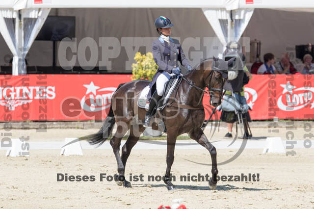 FEI European Championship
