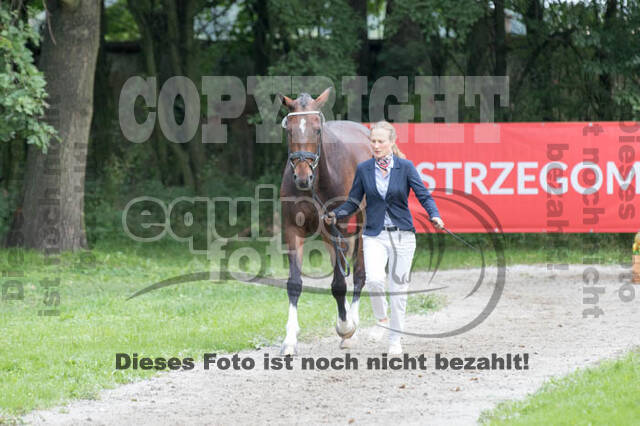 FEI European Championship Eventing 2017