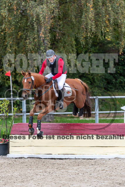 Goldene Schärpe 2020 - Pferde