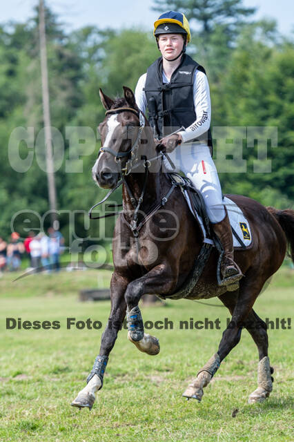 Goldene Schärpe 2021 - Ponys