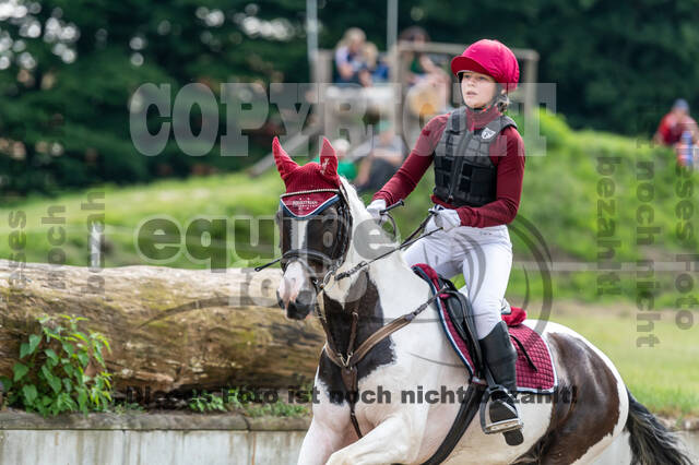 Goldene Schärpe 2021 - Ponys