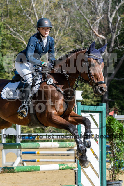 RFV Dinslaken-Hiesfeld (Herbstturnier)