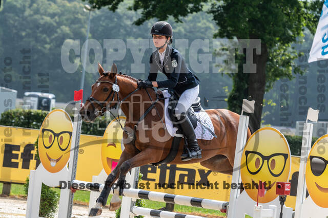 Goldene Schärpe 2021 - Ponys