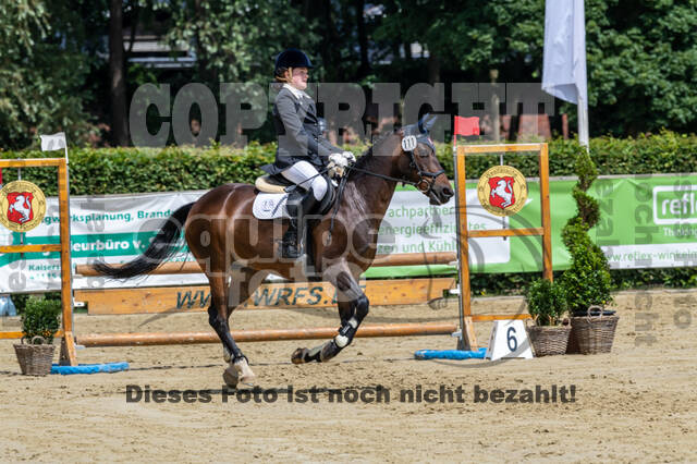 Goldene Schärpe 2021 - Ponys