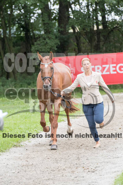 FEI European Championship Eventing 2017