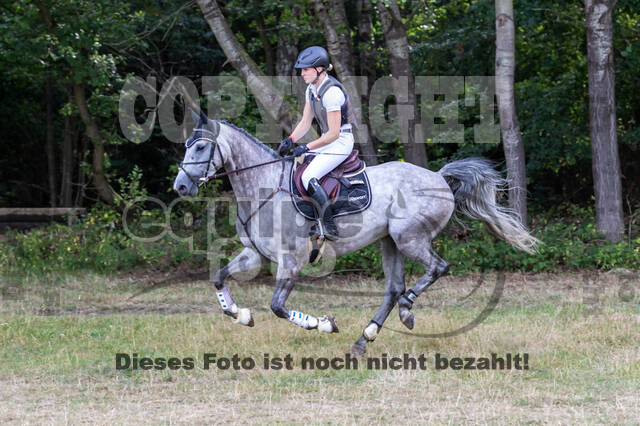 Late-Entry Vielseitigkeit Hamminkeln/Wesel (01.+02.08.2020)