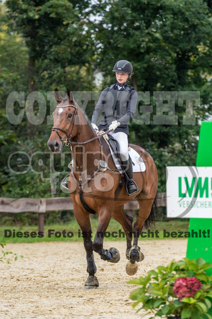 Vielseitigkeit RSV Wesel Obrighoven (26.+27.09.2020)