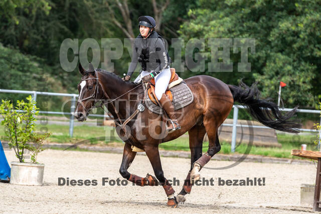 Late-Entry-Vielseitigkeit Langenfeld (11.+13./14.06.2020)