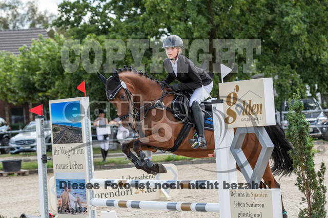 Landesturnier Rheinland, Vielseitigkeit, 22.+23.08.2020