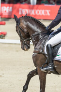 FEI European Championship