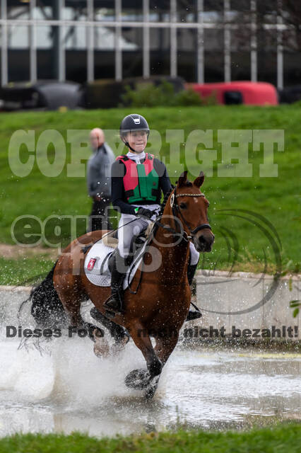 Goldene Schärpe 2020 - Pferde