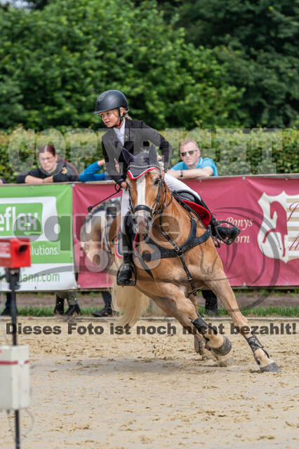Goldene Schärpe 2021 - Ponys