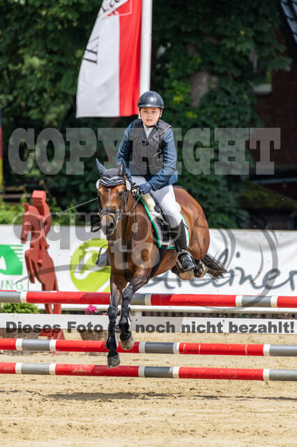 Goldene Schärpe 2021 - Ponys