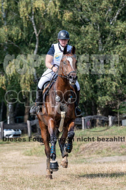 Late-Entry Vielseitigkeit Hamminkeln/Wesel (01.+02.08.2020)