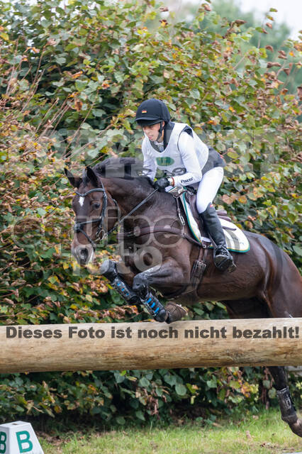 Deutsche Meisterschaft Vielseitigkeit (Luhmühlen)