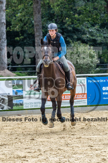Hunter Geländetraining 10.07.2021 (Sonsbeck)