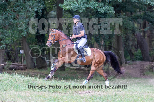 Late-Entry Vielseitigkeit Hamminkeln/Wesel (01.+02.08.2020)