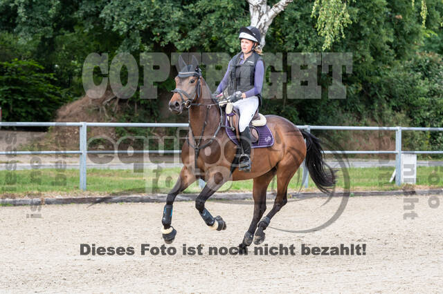 Late-Entry-Vielseitigkeit Langenfeld (11.+13./14.06.2020)