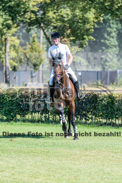 Kronenberg - De Peelbergen (August 2020)