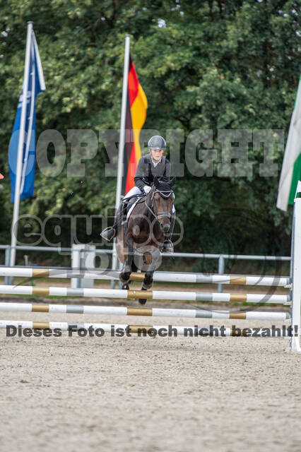 Landesturnier Rheinland, Vielseitigkeit, 22.+23.08.2020