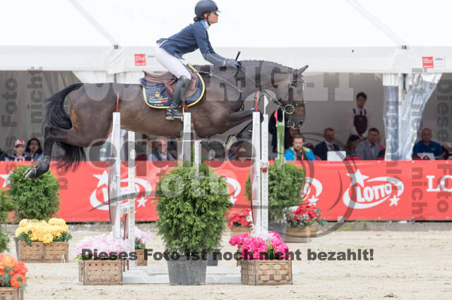 FEI European Championship