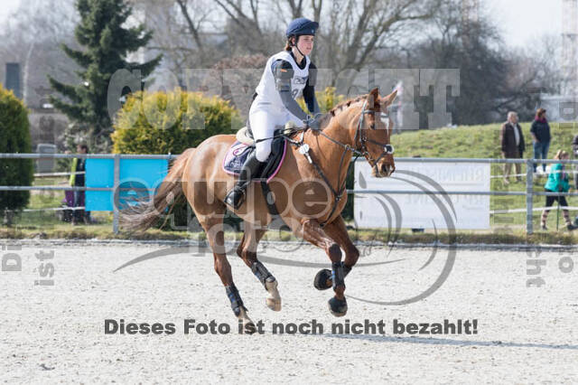 Eventing Langenfeld