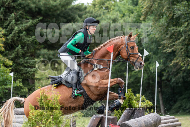 Late-Entry-Vielseitigkeit Langenfeld (11.+13./14.06.2020)