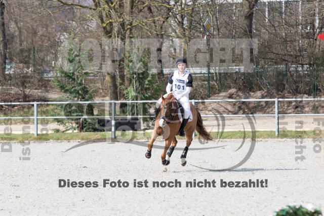 Eventing Langenfeld 2018