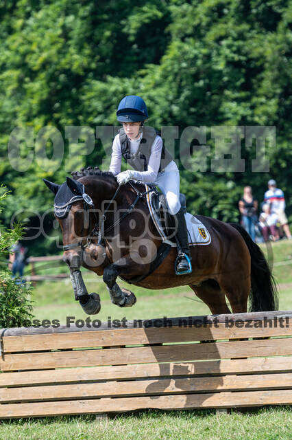 Goldene Schärpe 2021 - Ponys