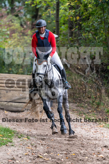 Goldene Schärpe 2020 - Pferde