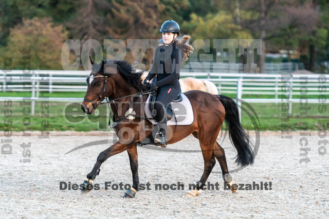 IGV Lehrgang der Sieger der Cups mit Frank Ostholt