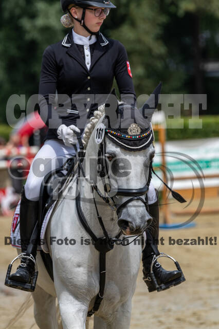 Goldene Schärpe 2021 - Ponys