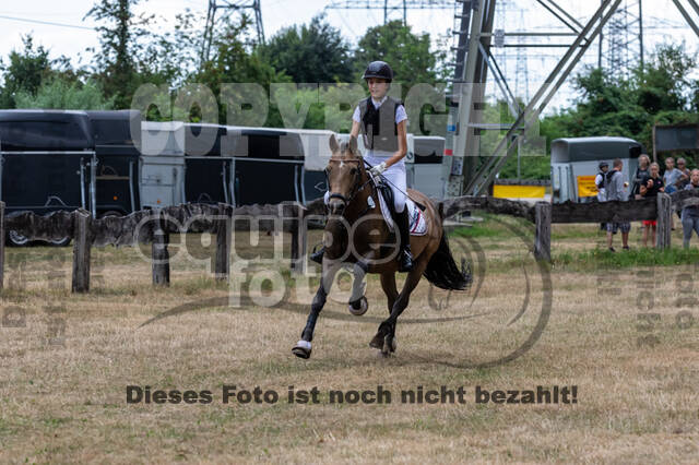 Late-Entry Vielseitigkeit Hamminkeln/Wesel (01.+02.08.2020)