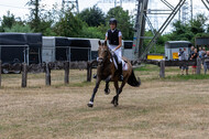 Late-Entry Vielseitigkeit Hamminkeln/Wesel (01.+02.08.2020)
