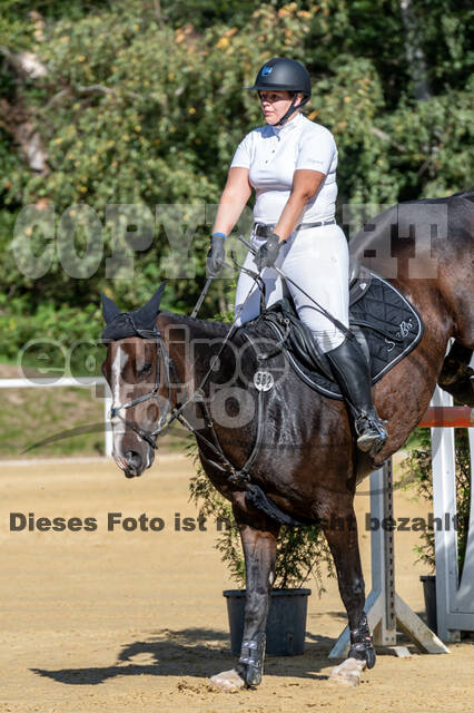 RFV Dinslaken-Hiesfeld (Herbstturnier)