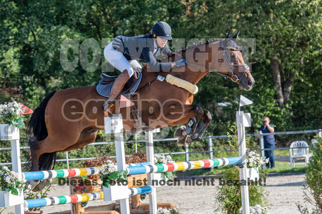 Landesturnier Rheinland, Vielseitigkeit, 22.+23.08.2020