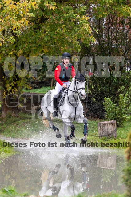 Goldene Schärpe 2020 - Pferde