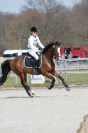 Eventing Langenfeld 2018