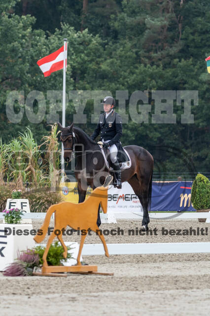 Deutsche Meisterschaft Vielseitigkeit (Luhmühlen)