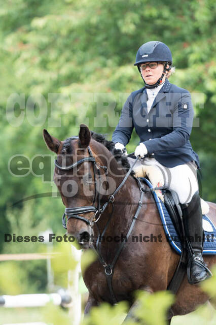 Vielseitigkeitsturnier Bad Honnef