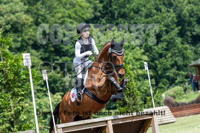 Goldene Schärpe 2021 - Ponys